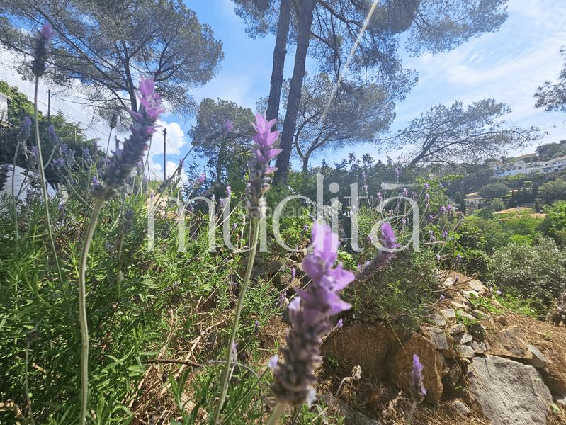 Foto 3aa9a043-9e64-40e6-97ad-d30aaa4c7e15. Residential plot in Urbanitzacions Argentona