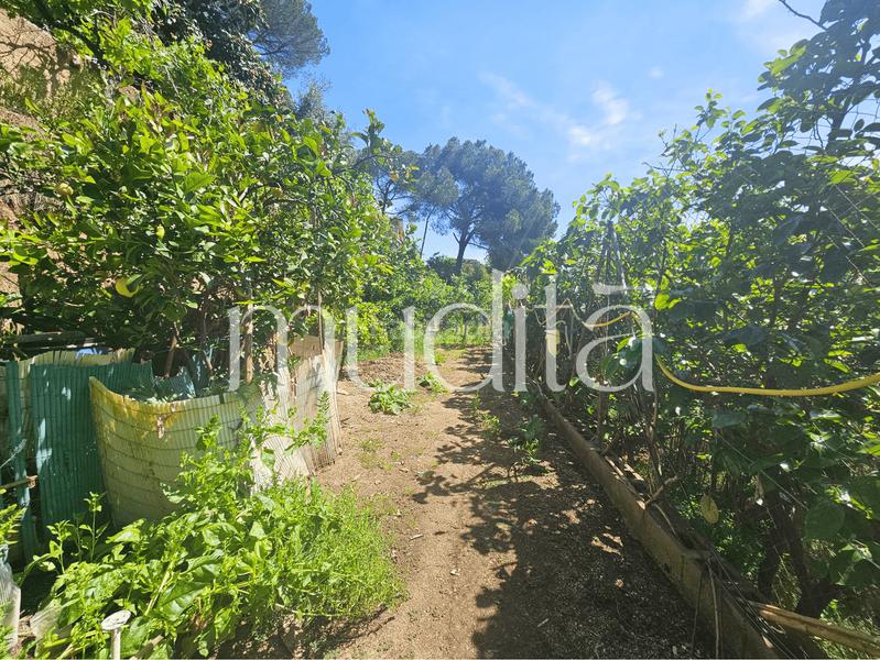 Foto 3fb40f85-19c2-4349-84bf-39c22a595551. Residential plot in Urbanitzacions Argentona