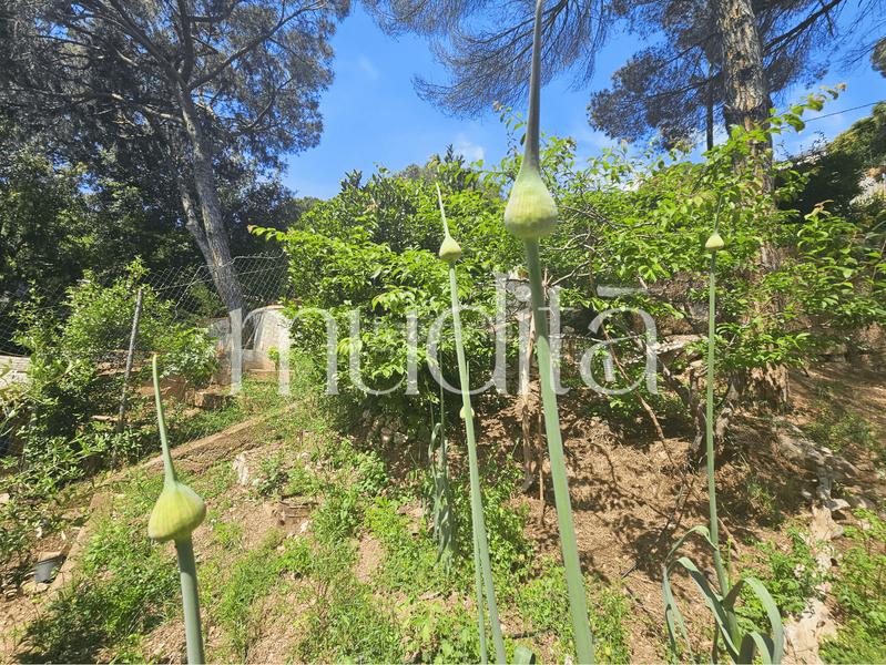 Foto 426272aa-45fb-42f9-a50d-99f699dc182c. Residential plot in Urbanitzacions Argentona