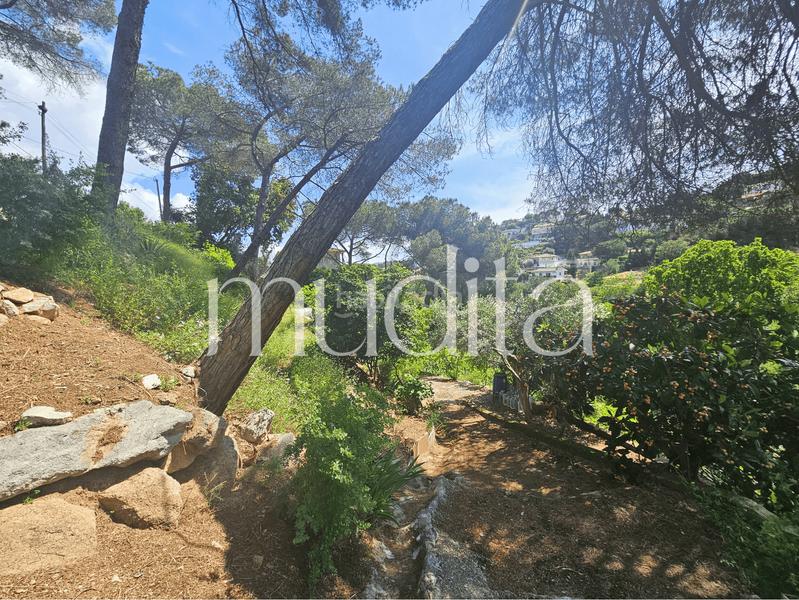 Foto 5ed28fb6-a388-49eb-93e0-10d1c1f9e251. Residential plot in Urbanitzacions Argentona