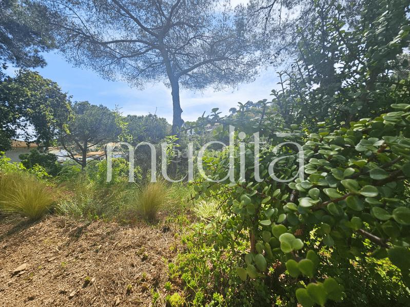 Foto 749d4992-6046-45c4-8aff-5a6b9daed583. Residential plot in Urbanitzacions Argentona