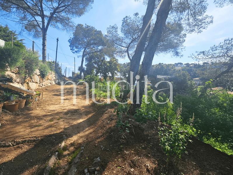 Foto 79d7b9df-b9e7-4dd7-adbf-e9c2f2aae15a. Residential plot in Urbanitzacions Argentona