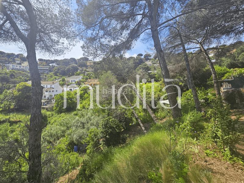 Foto 87dfc2ae-9b2d-4b5b-b3e0-9f92d3cf6809. Residential plot in Urbanitzacions Argentona