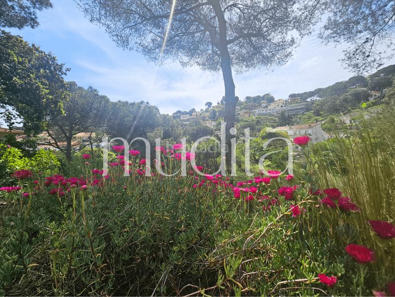 Foto 88bb5847-106a-4f9e-858f-d9a3d235a9af. Residential plot in Urbanitzacions Argentona