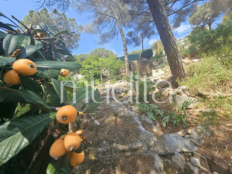 Foto 8d97486e-8f37-4c65-a4a8-ad94fd996efb. Residential plot in Urbanitzacions Argentona