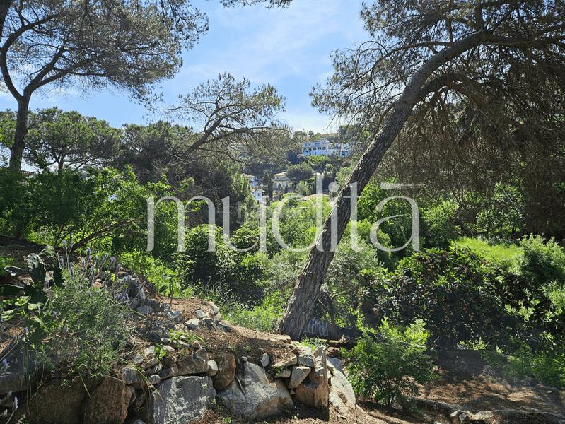 Foto 9863f796-a808-4c36-944d-3893a6d5d463. Residential plot in Urbanitzacions Argentona