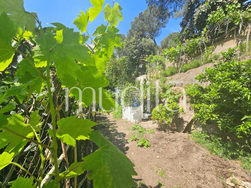 Foto ac9451fc-7265-46f6-9f08-e1ff301fb0b1. Residential plot in Urbanitzacions Argentona