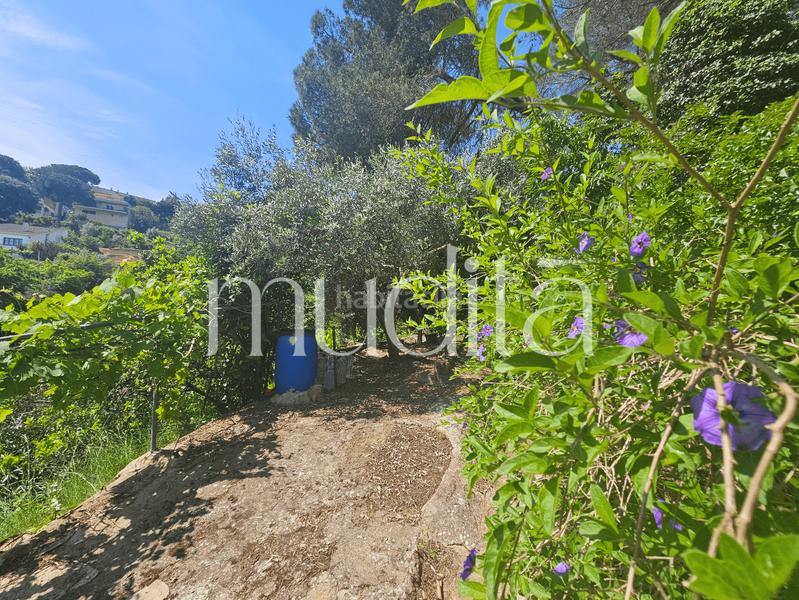 Foto eecba36a-c2eb-4ded-ba81-9d69f0d2ea82. Residential plot in Urbanitzacions Argentona