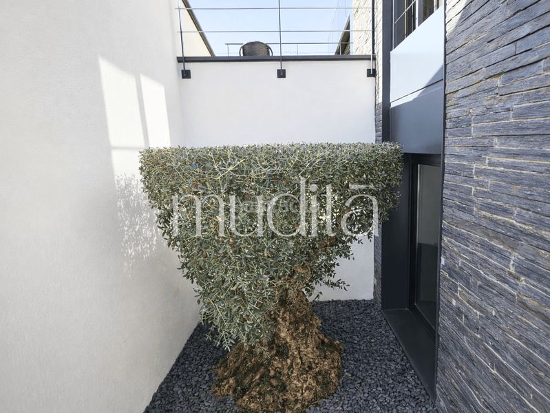 Foto e10da325-7b16-4ce3-80ca-4c2d211d8239. Casa amb calefacció aparcament piscina a Viladrau