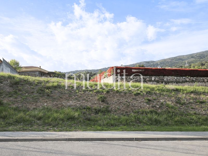 Foto ba1e9cf6-6563-41d5-a5ac-be3226f7cf9c. Terreny residencial a Campins