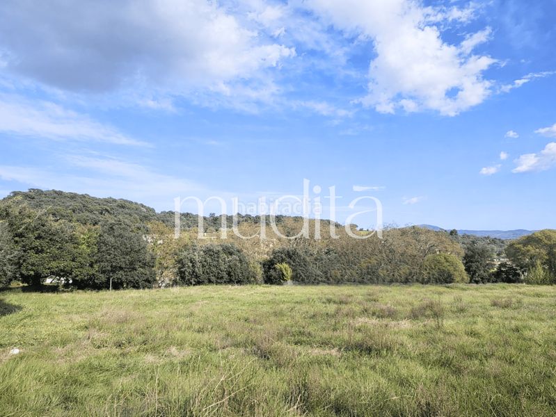 Foto e9f59019-1e86-4982-956b-2ceae13fba3a. Terreny residencial a Campins