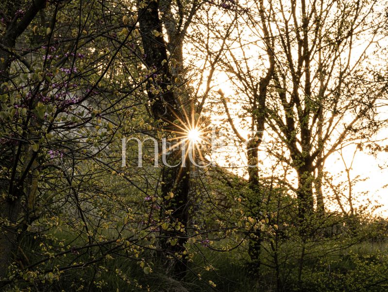 Foto 39b2f51a-59d1-483d-b0f0-29e23abd87af. Masia amb calefacció aparcament a Tavertet