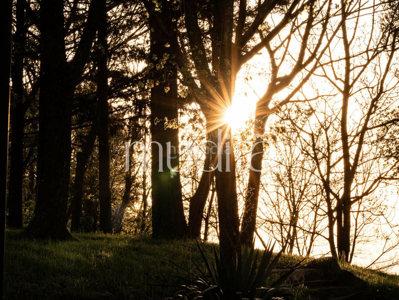 Foto 62d6d896-8627-4a9a-ac41-de074df2643e. Masia amb calefacció aparcament a Tavertet