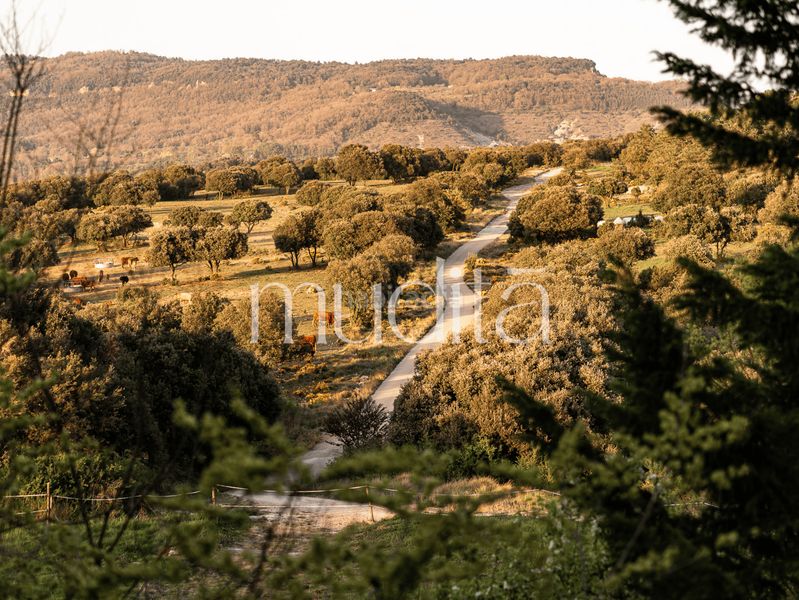 Foto 64dc64c1-9eed-401f-bc6b-8c4766e026ba. Masia amb calefacció aparcament a Tavertet