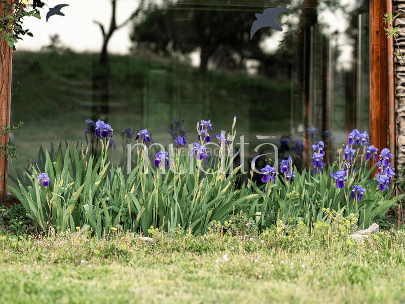 Foto 749c5e16-4599-4fb0-95bf-a9852345838f. Masia amb calefacció aparcament a Tavertet