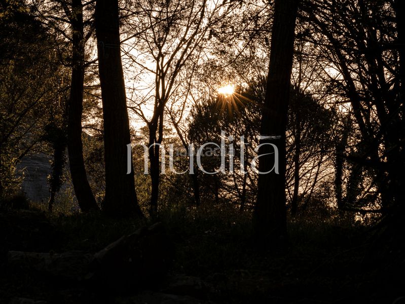 Foto 9bfccd7a-853b-418f-ad86-a2325368fb1b. Masia amb calefacció aparcament a Tavertet