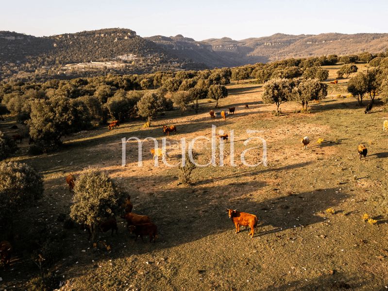 Foto c9f7e173-d3e5-4d7e-8890-cb991285e9da. Masia amb calefacció aparcament a Tavertet