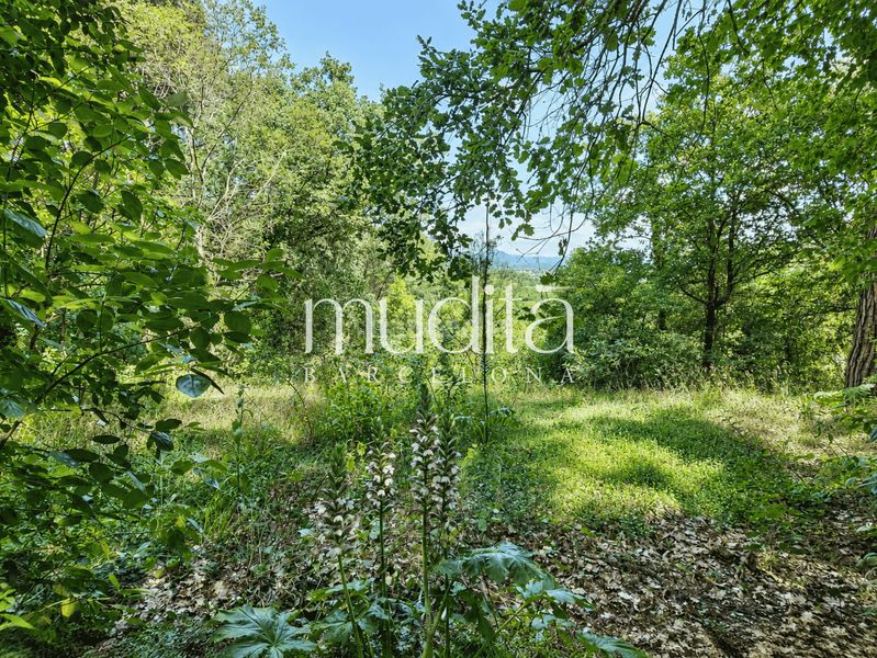 Foto 0ba884f0-2810-4087-877d-01417be37678. Casa amb calefacció aparcament piscina a Sant Celoni