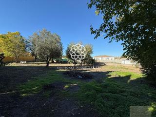 Mas à Carretera de Sanlúcar - Sudamérica. El puerto de santa maríafinca rustica
