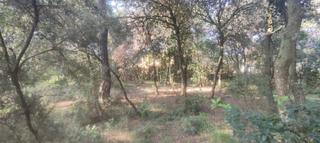 Residential Plot in Can Massuet del Far. Terreno en sant carles dosrius