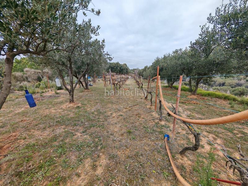 Foto 1837c6fa-f793-4bef-894d-06511c303102. Wohngrundstück in 7 in Zona Industrial Granollers