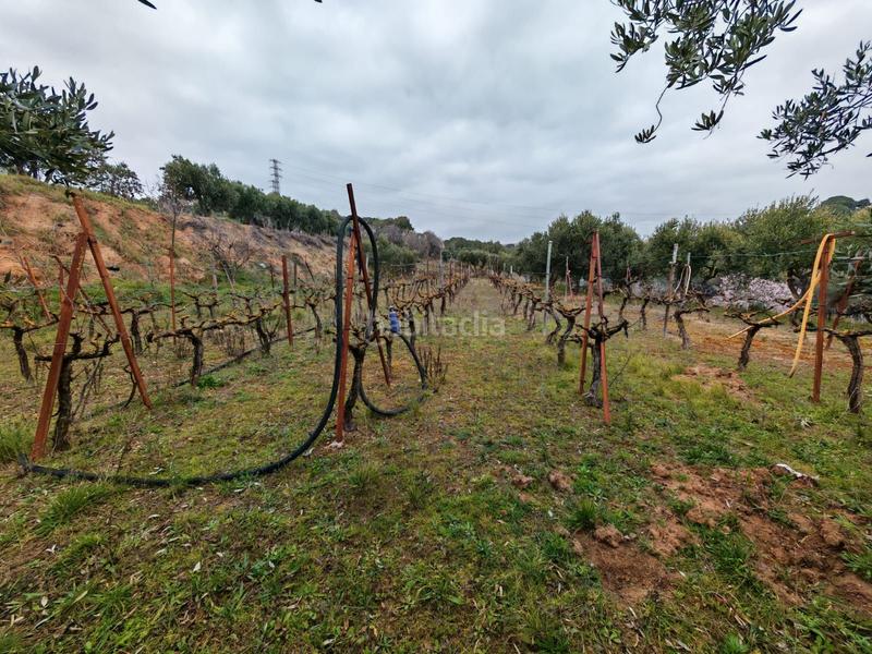 Foto 46f8a61d-95cd-4731-909f-a7a56efba4b5. Wohngrundstück in 7 in Zona Industrial Granollers