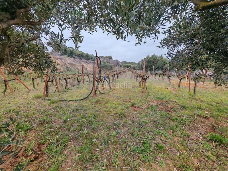 Foto f1f5d75e-8f88-42fe-8b8b-6d0784acaee4. Wohngrundstück in 7 in Zona Industrial Granollers