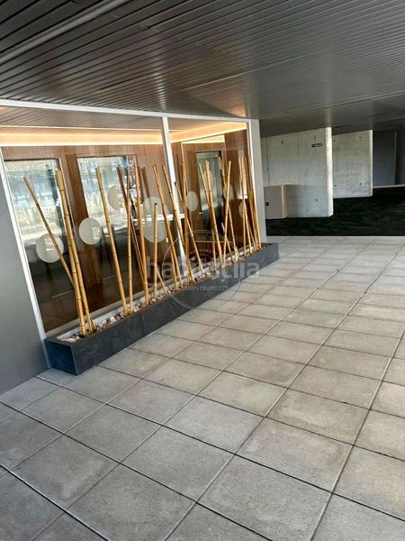 Piso en de manuel fraga iribarne 38 en Valdebebas - Valdefuentes Madrid - Imagen 10