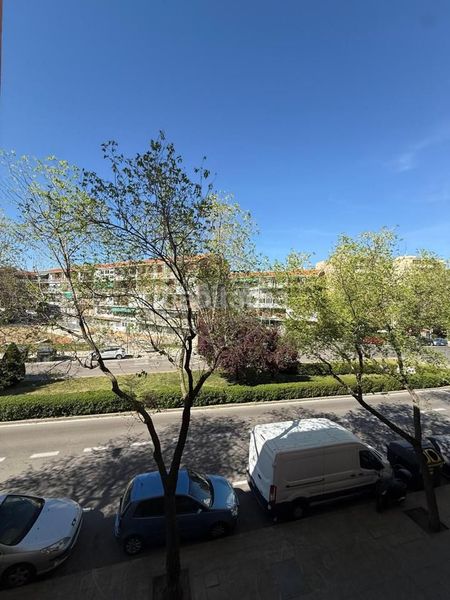 Foto 4735e415-4906-4d8e-8e92-4c9b5cfdd0ab. Lloguer pis a Pinar del Rey Madrid