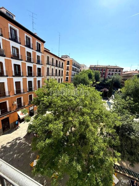 Foto 177d0c00-e934-4d18-a543-d5ffac6db0fb. Pis a Universidad-Malasaña Madrid