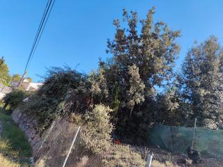 Terreny residencial  Avinguda de ca l'estapé. Terreno listo para construir unifamiliar en lliçà de vall