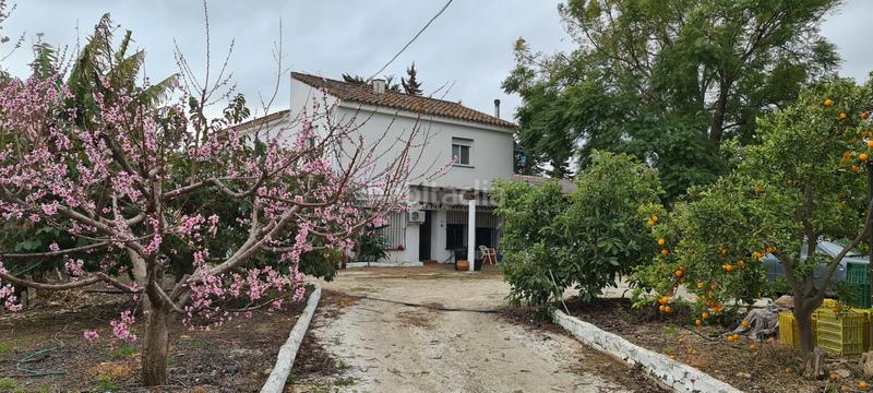 Foto 4582acfa-179a-4c72-868b-ce7d063c729c. Masía vivienda con parcela en Valtocado - La Alquería - La Atalaya Mijas