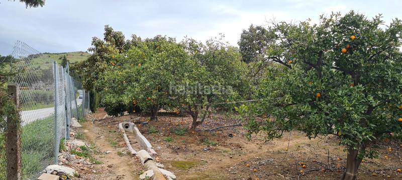 Foto 56790405-3e6a-4884-a534-5e66b53ce3dd. Masía vivienda con parcela en Valtocado - La Alquería - La Atalaya Mijas