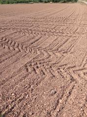 Finca rústica  N/a. Venta de finca agricola de regadio en puigverd de lleida
