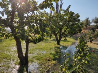 Masia  Carrer patricio redondo. Finca con almacen agricola en puigverd de lleida, lleida.