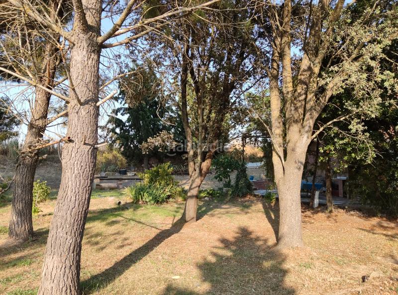 Foto c3776708-dc50-4d07-9684-f5877ffeee07. Bauernhof in Puigverd de Lleida