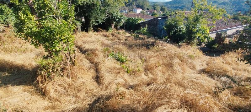 Foto 2c12cbee-1cd8-44ab-9587-67d6d032aa10. Casale in estrada bande-entrimo 47 in Lobeira