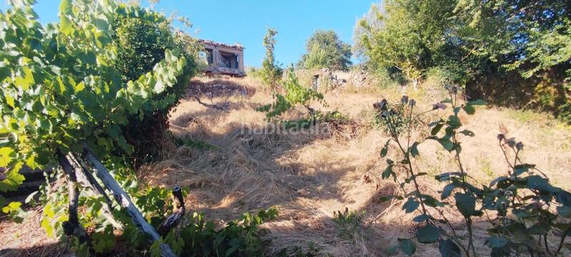 Foto 6336e0ea-4c9b-4e25-b023-f13db5b838d1. Casale in estrada bande-entrimo 47 in Lobeira