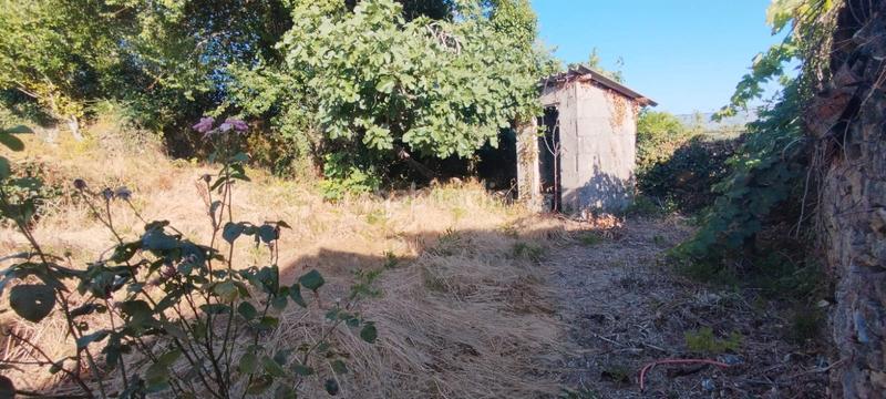 Foto 95989d7a-a15d-471b-910b-911a3d4720a0. Casale in estrada bande-entrimo 47 in Lobeira