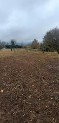 Terreny residencial  Carretera de corvillon. Se vende finca urbana zona allariz