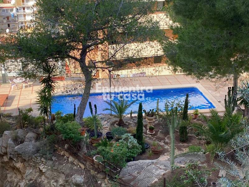 Foto 33ae25ef-2861-49f2-ac1b-e0642468c058. Pis amb calefacció aparcament piscina a Playa Poniente Benidorm