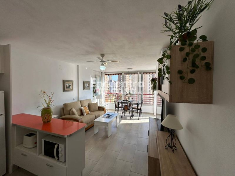 Foto 59139ac3-127c-4bd0-8330-df6e1974beed. Apartament amb calefacció aparcament piscina a Rincón Alto Benidorm