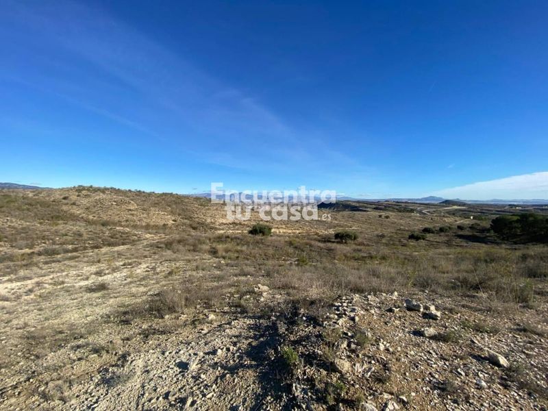 Foto 5445de51-38f2-4582-afc4-f05ed572f1e8. Finca rústica a Albudeite