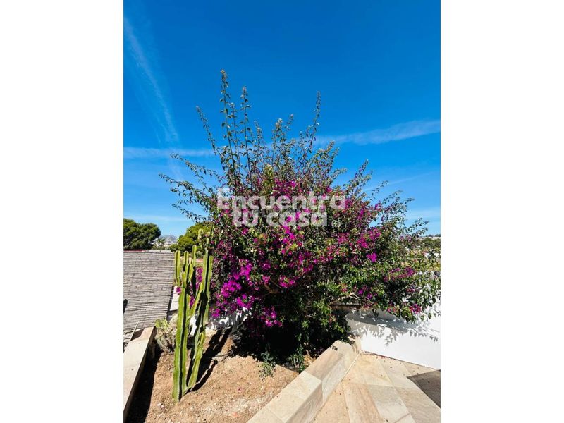 Foto 9459c0b3-0c68-4968-b23a-710efce1a6a0. Xalet amb calefacció aparcament piscina a Marisol Park - Ortembach - Los Almendros Calp