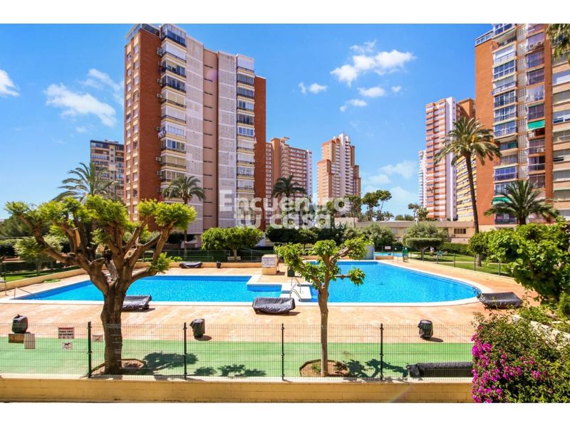 Foto 06a56324-549b-43de-8318-23025a1ddf33. Pis amb aparcament piscina a Playa Poniente Benidorm