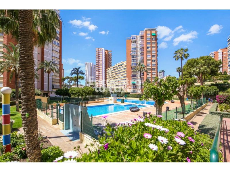 Foto 1e346f1c-d37f-4789-9d65-ae9b0bdfd498. Pis amb aparcament piscina a Playa Poniente Benidorm