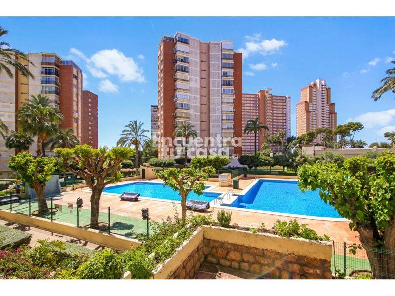 Foto 57339d6c-fd65-49dc-999a-570e73a9595c. Pis amb aparcament piscina a Playa Poniente Benidorm
