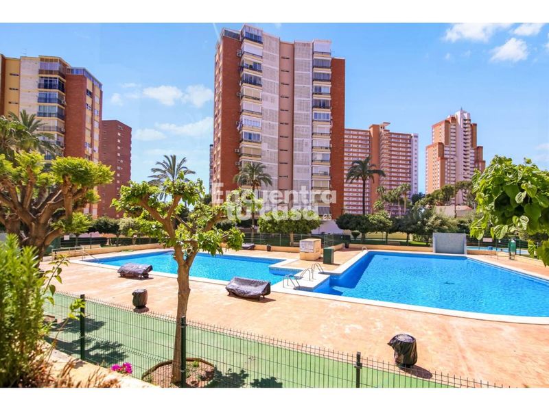 Foto a2dfc216-4b46-4357-bb5e-4ec0e8424b3b. Pis amb aparcament piscina a Playa Poniente Benidorm