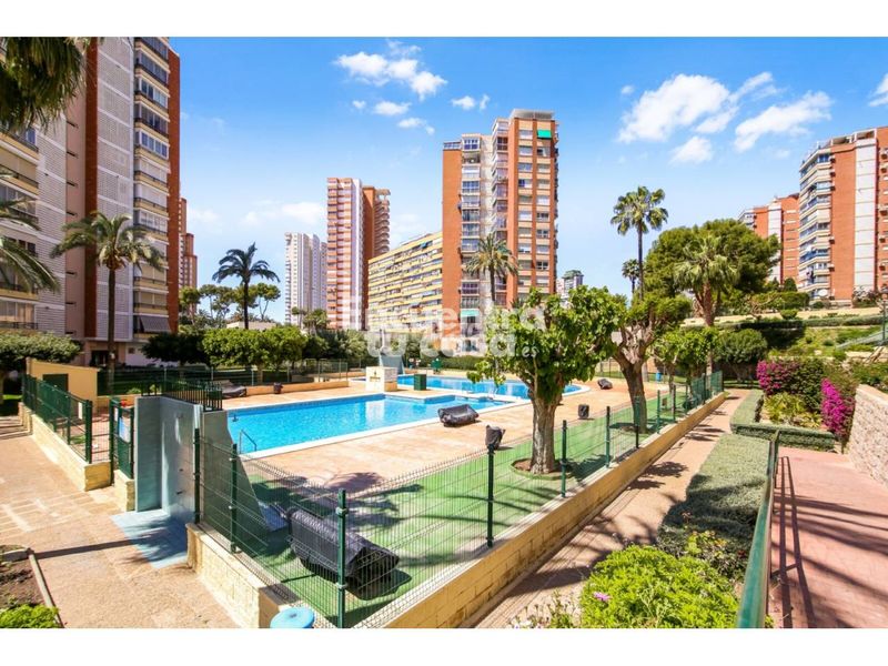 Foto bba71909-818a-4b11-b341-71ef72265bef. Pis amb aparcament piscina a Playa Poniente Benidorm