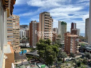 Apartament  Calle mallorca. Benidorm en modo inversión licencia turística, ingresos demostra
